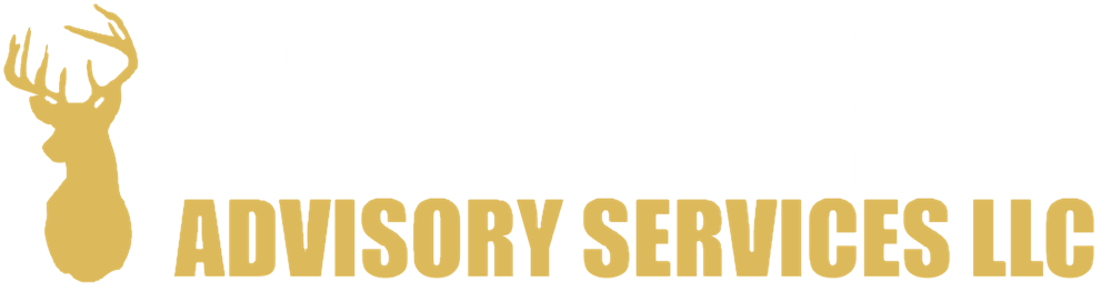 best financial controller in the united states